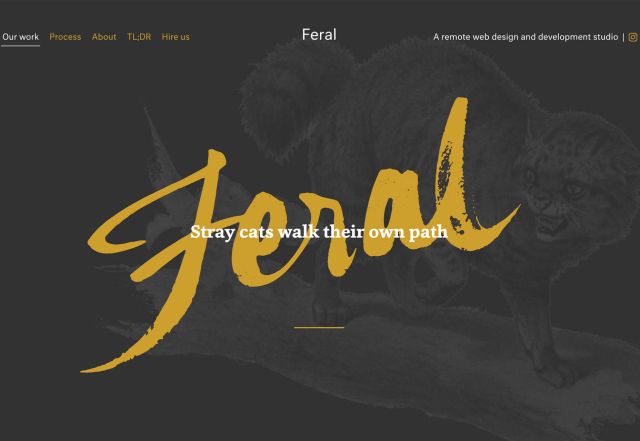 2019年5月份網(wǎng)站設(shè)計趨勢 網(wǎng)站設(shè)計